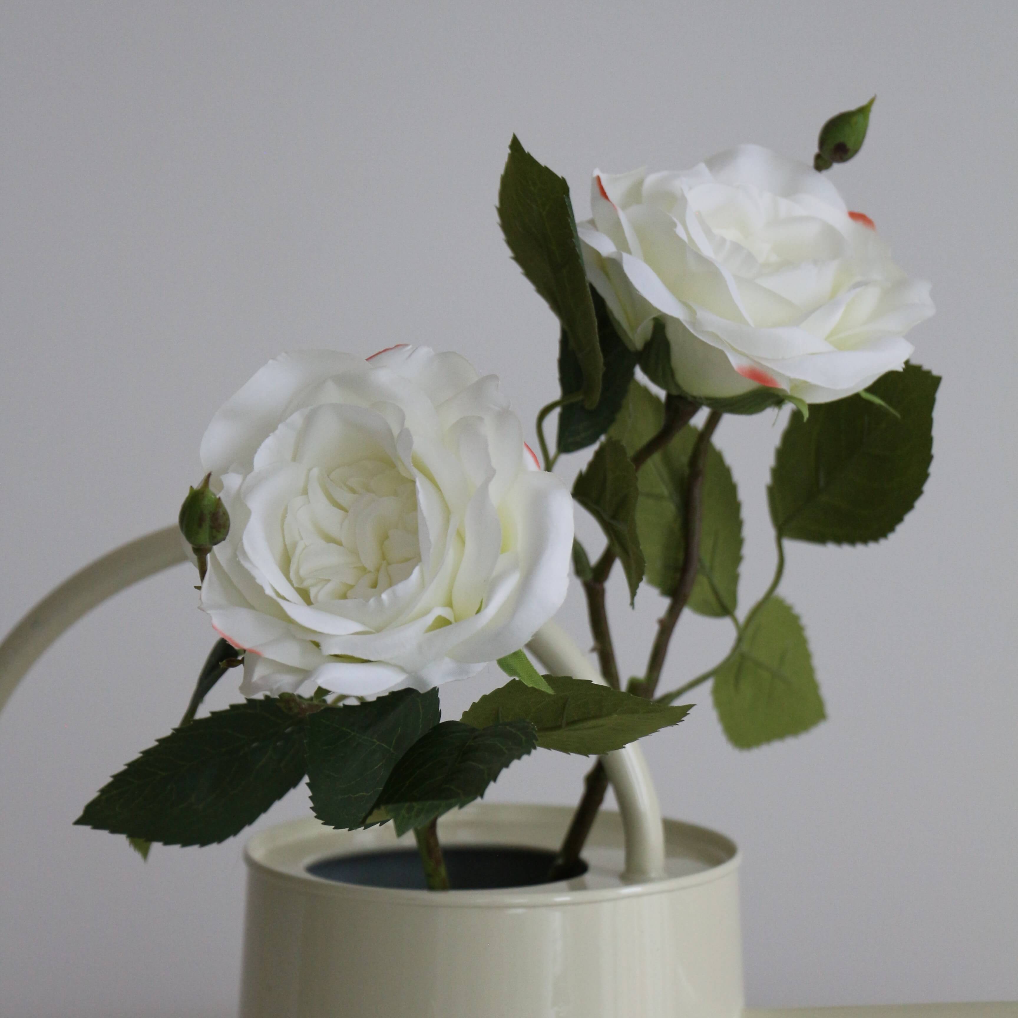 blomster-oscarz